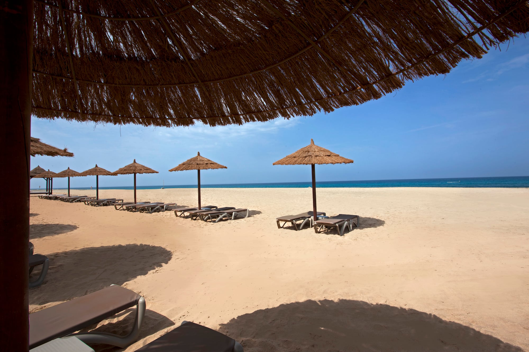 a beach with umbrellas and chairs