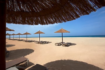 a beach with umbrellas and chairs