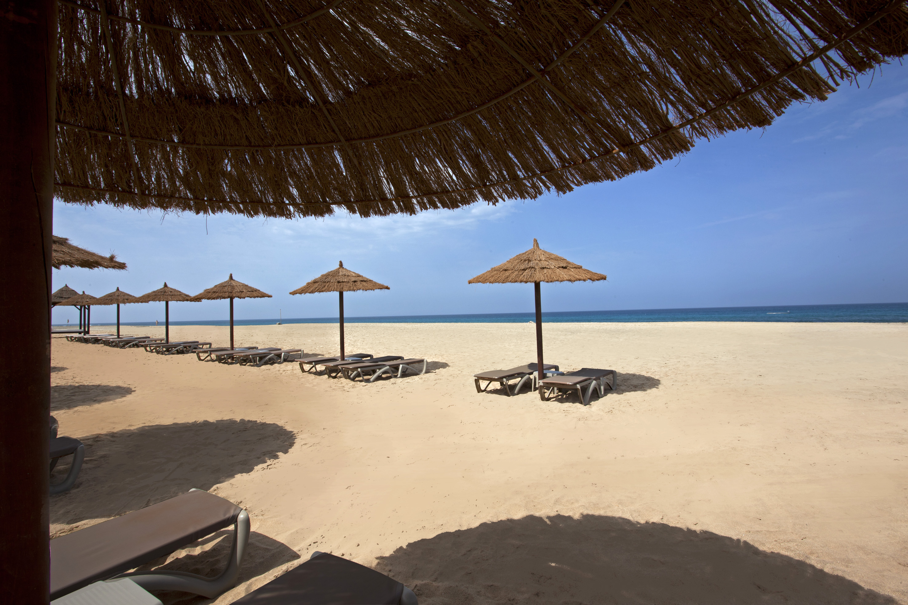 a beach with umbrellas and chairs