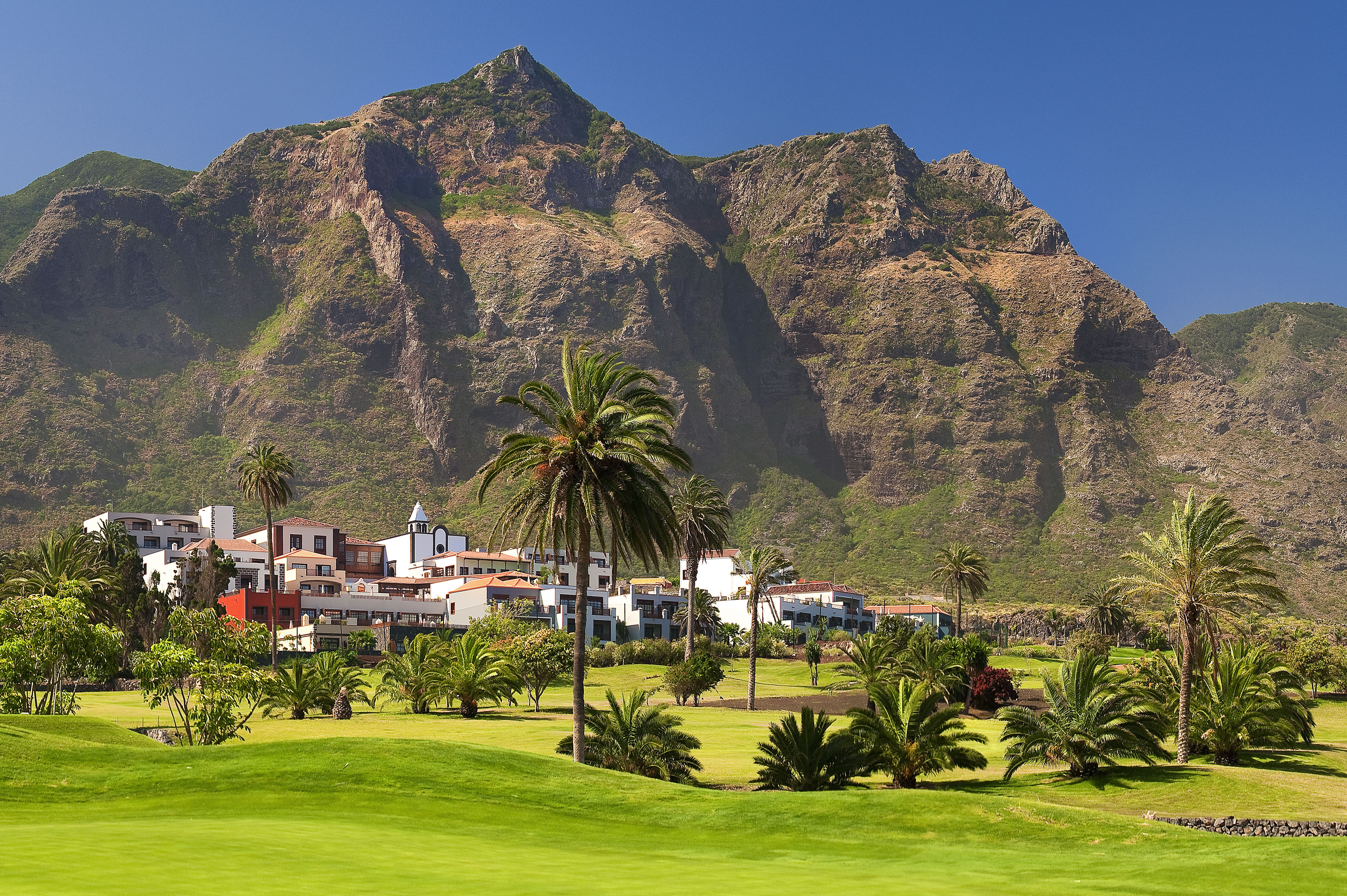 a green field with palm trees and buildings in the background
