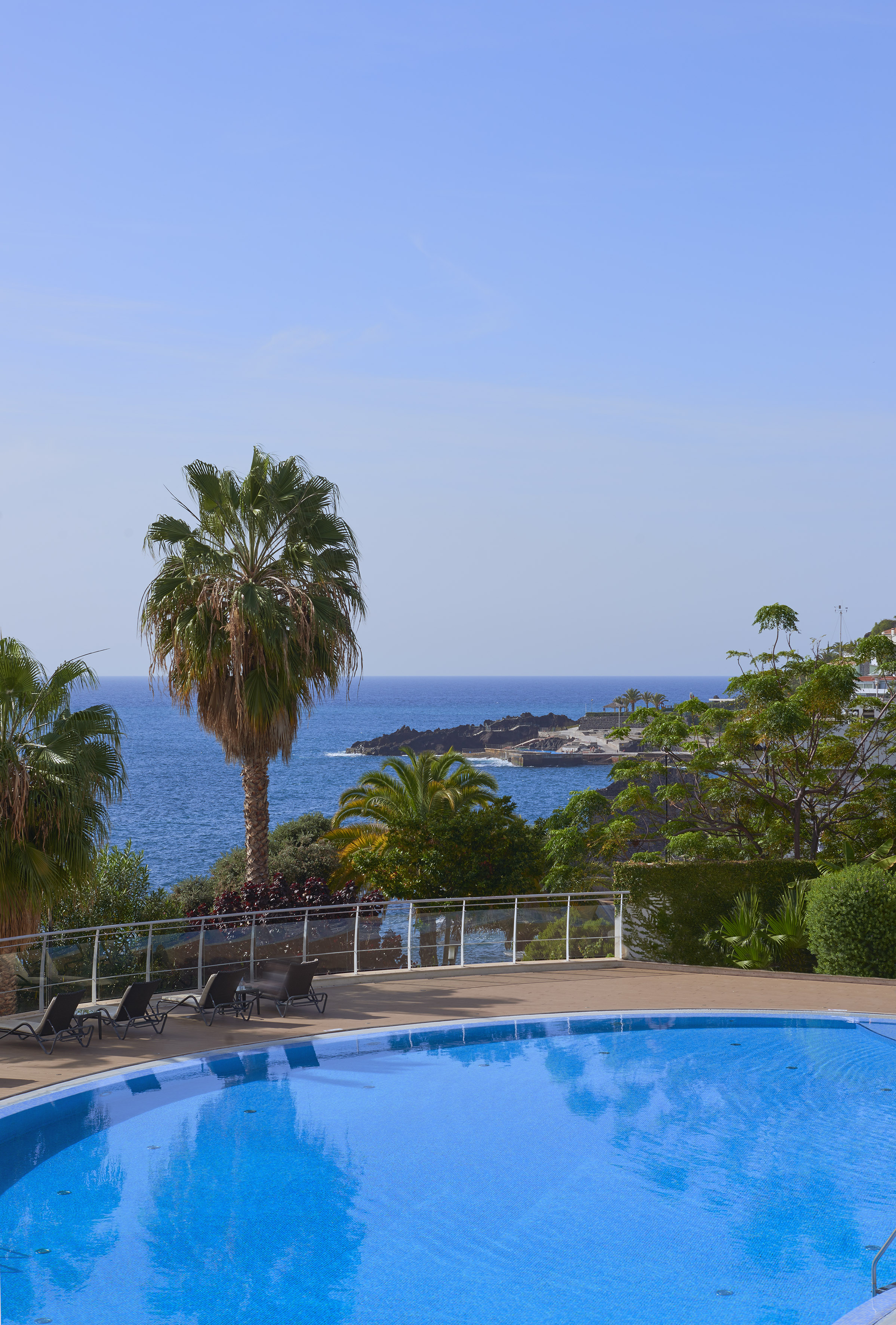 a pool with palm trees and a body of water
