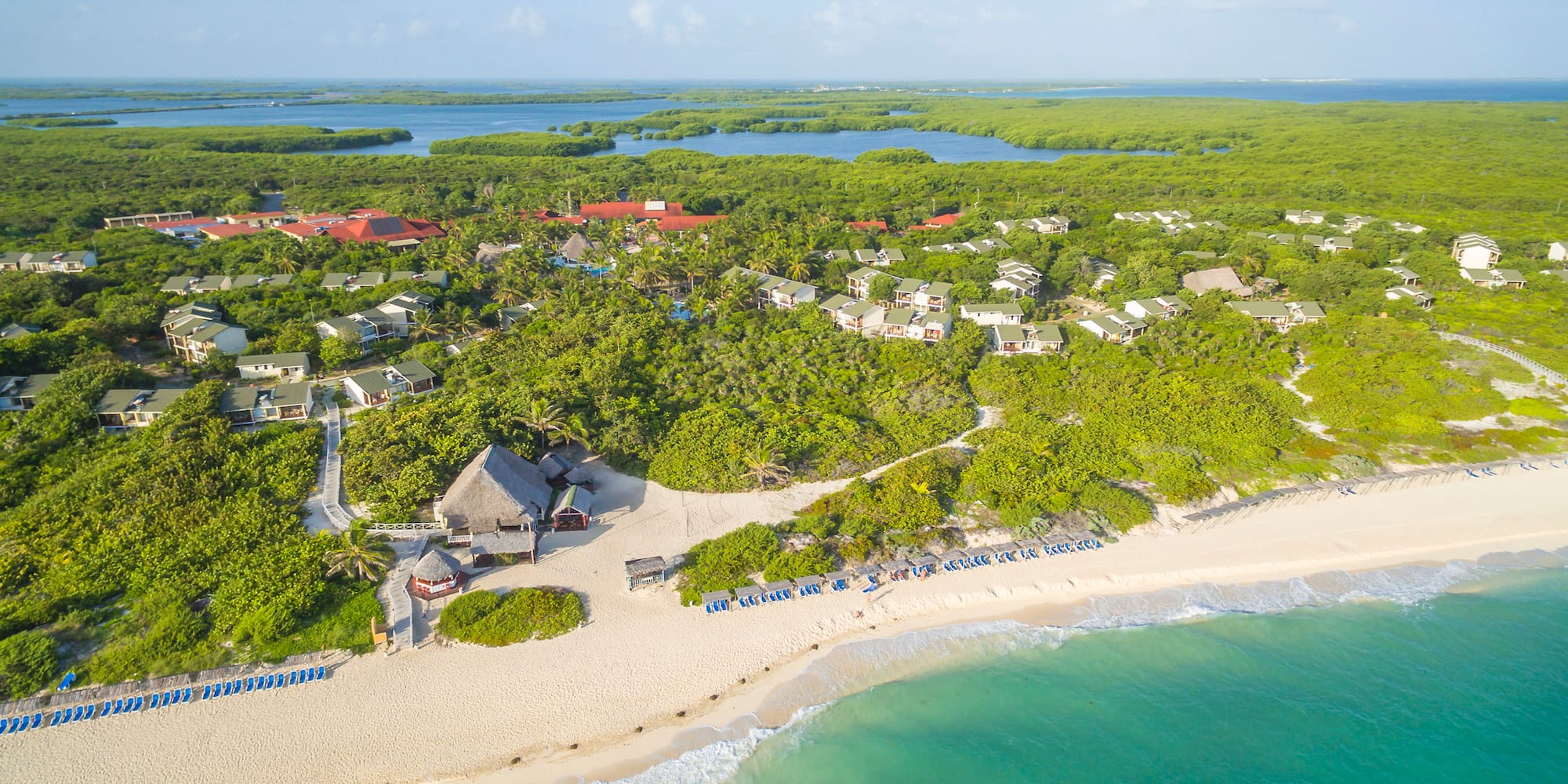 a beach with trees and houses