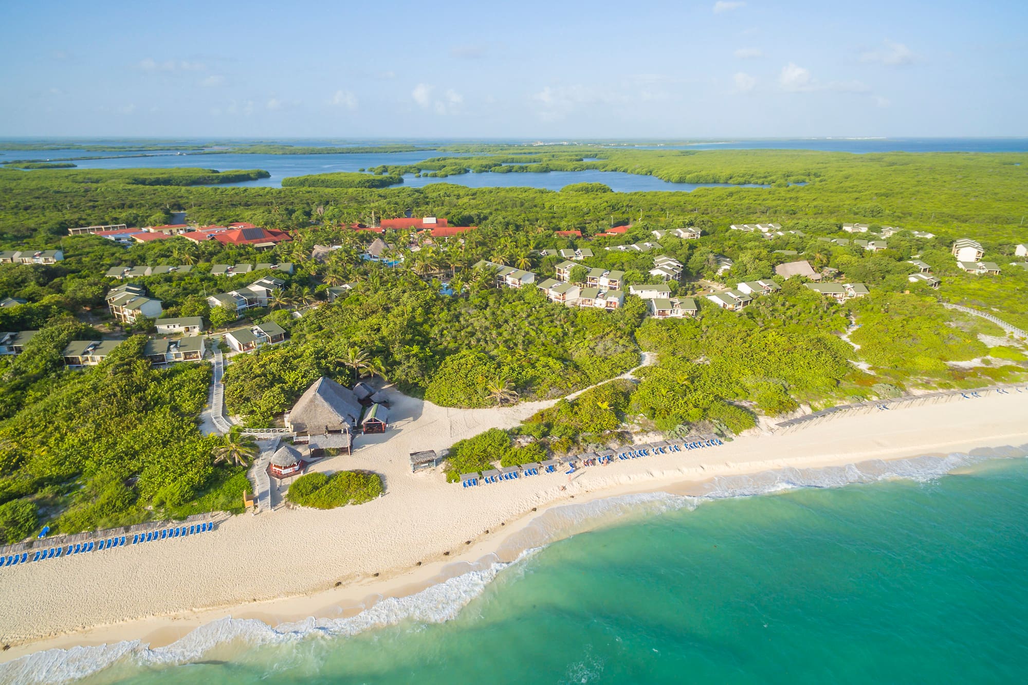 a beach with trees and houses