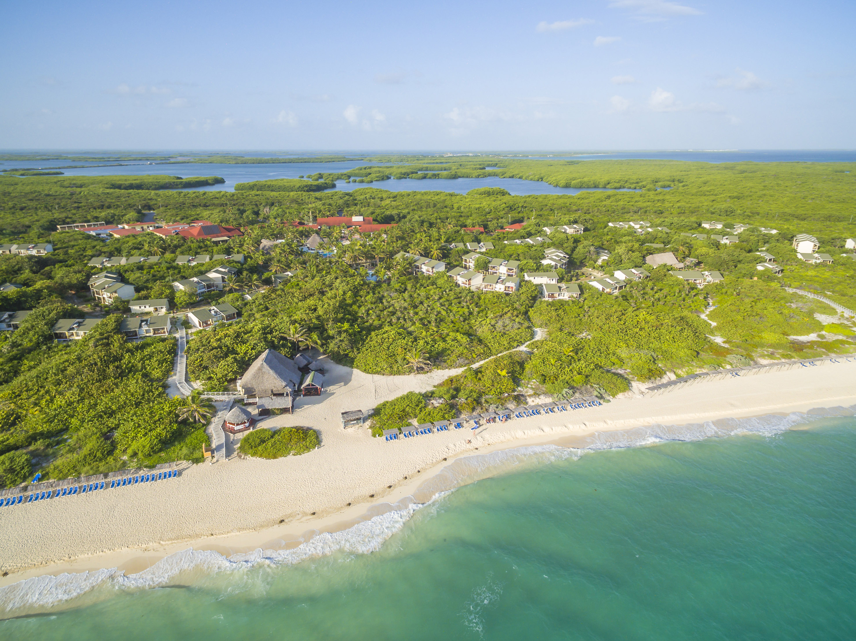 a beach with trees and houses