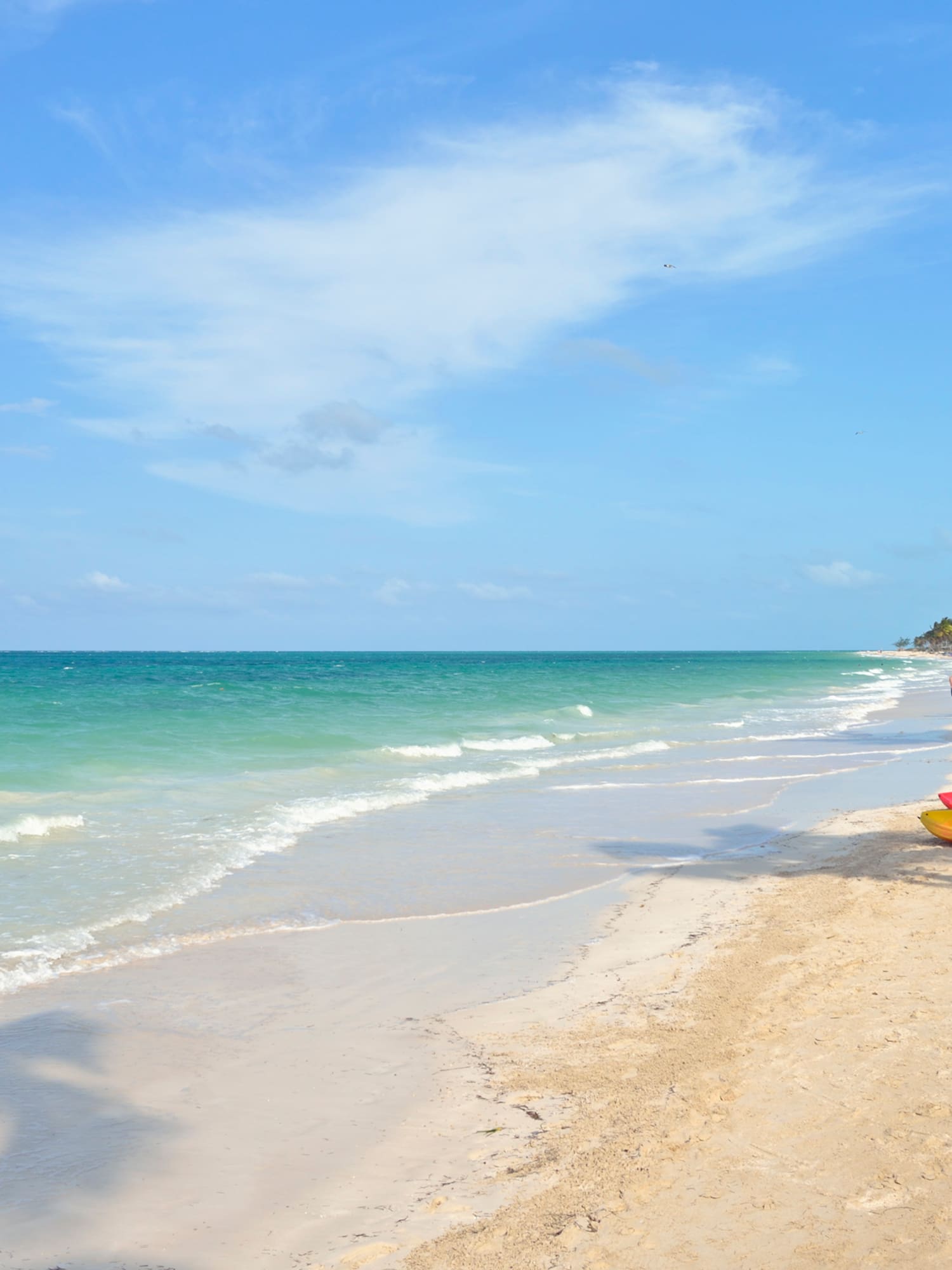 a beach with people and a boat