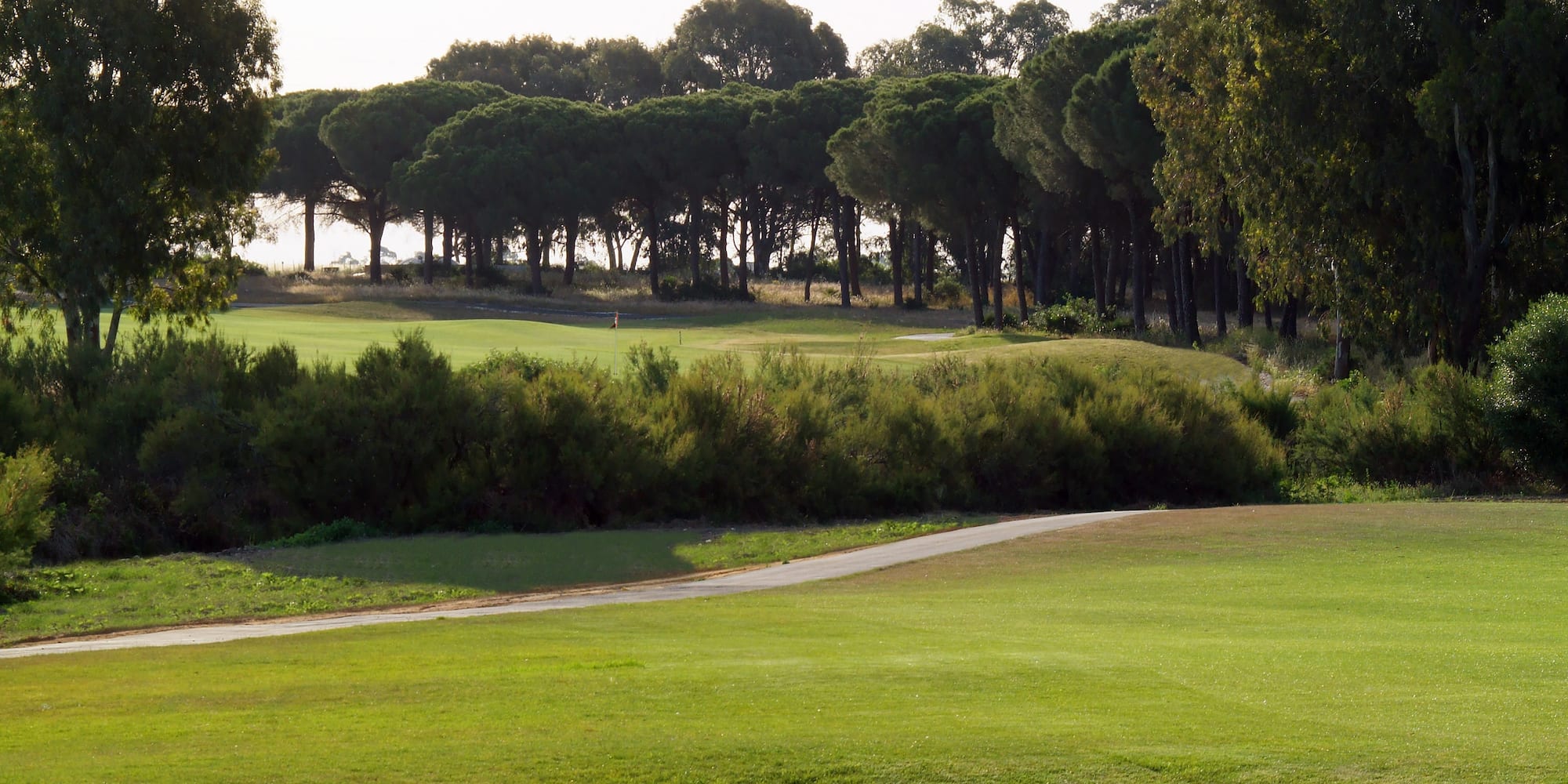 a golf course with trees in the background
