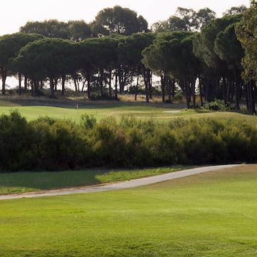 a golf course with trees in the background