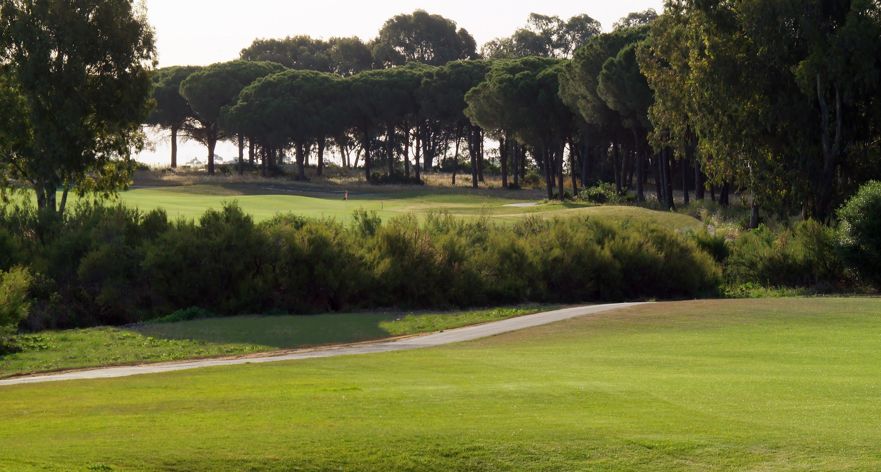 Scenic golf course with green fairways, putting green, and dense pine trees.