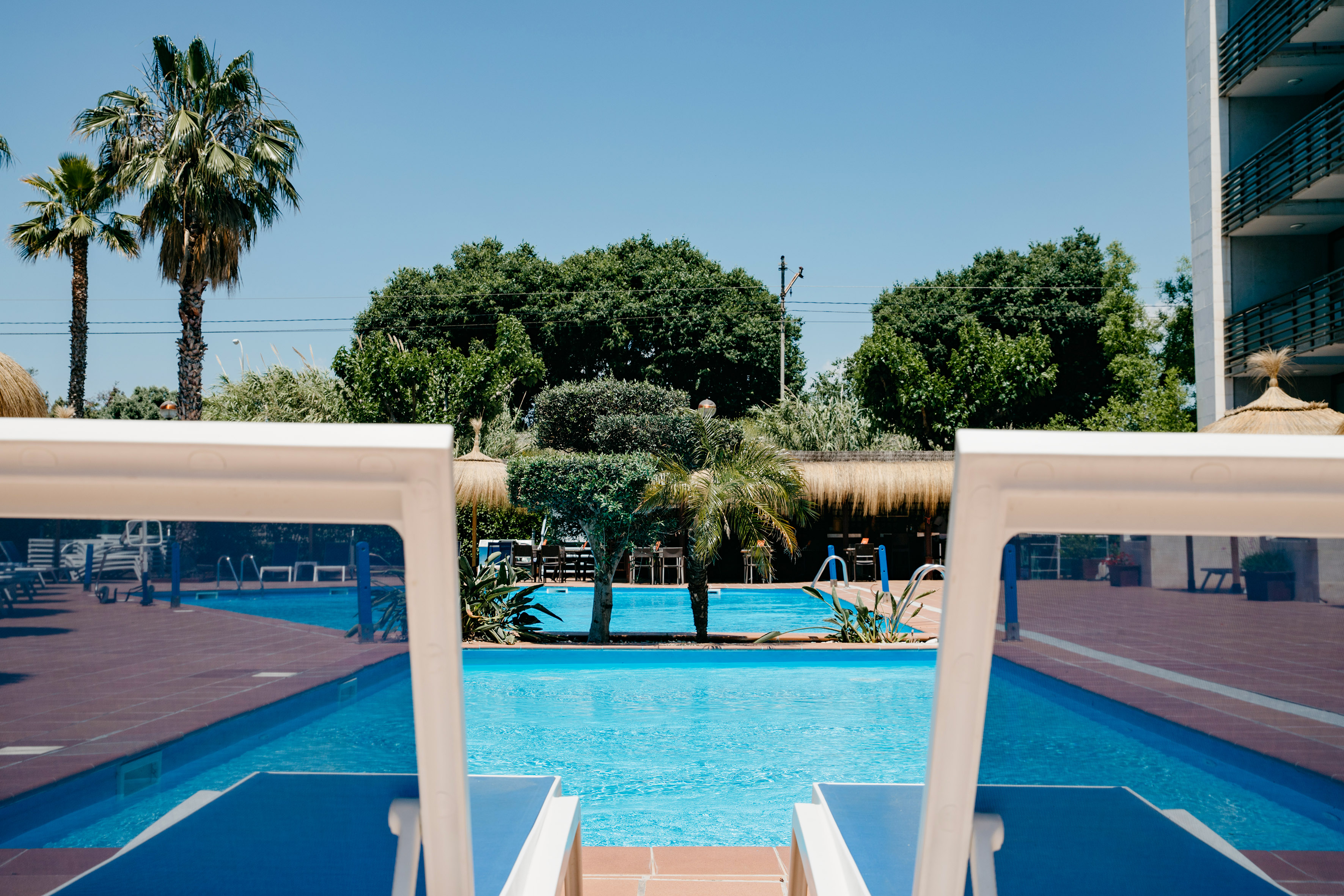 Sunny resort pool with blue lounge chairs, palm trees, and hotel building.