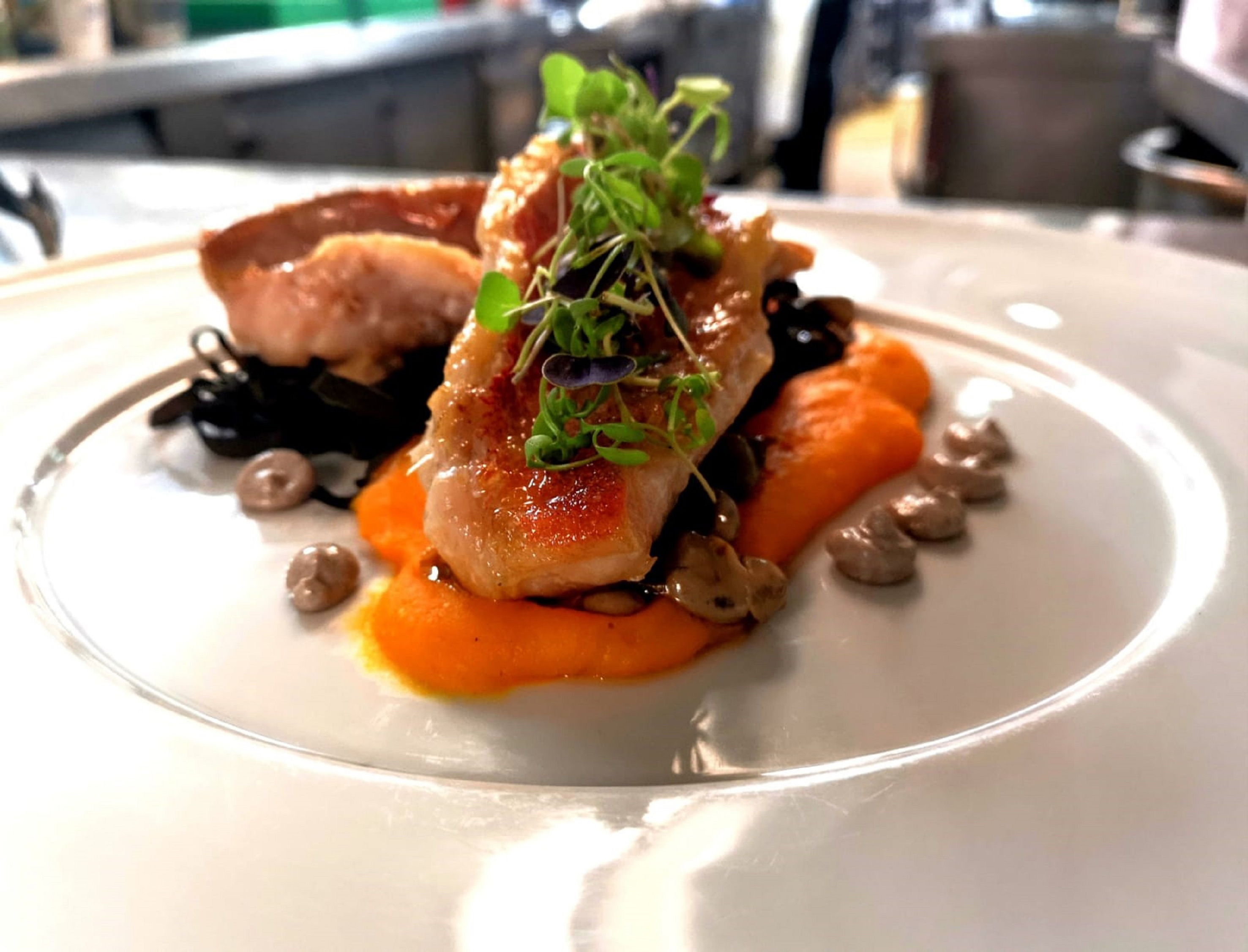 Seared fish with squid ink pasta, carrot puree, and microgreens on a white plate.