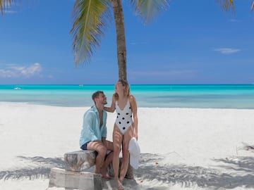 a man and woman sitting on a beach under a palm tree