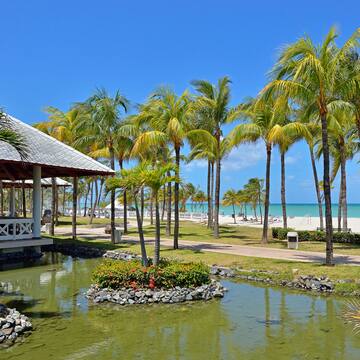 a body of water with palm trees and a gazebo