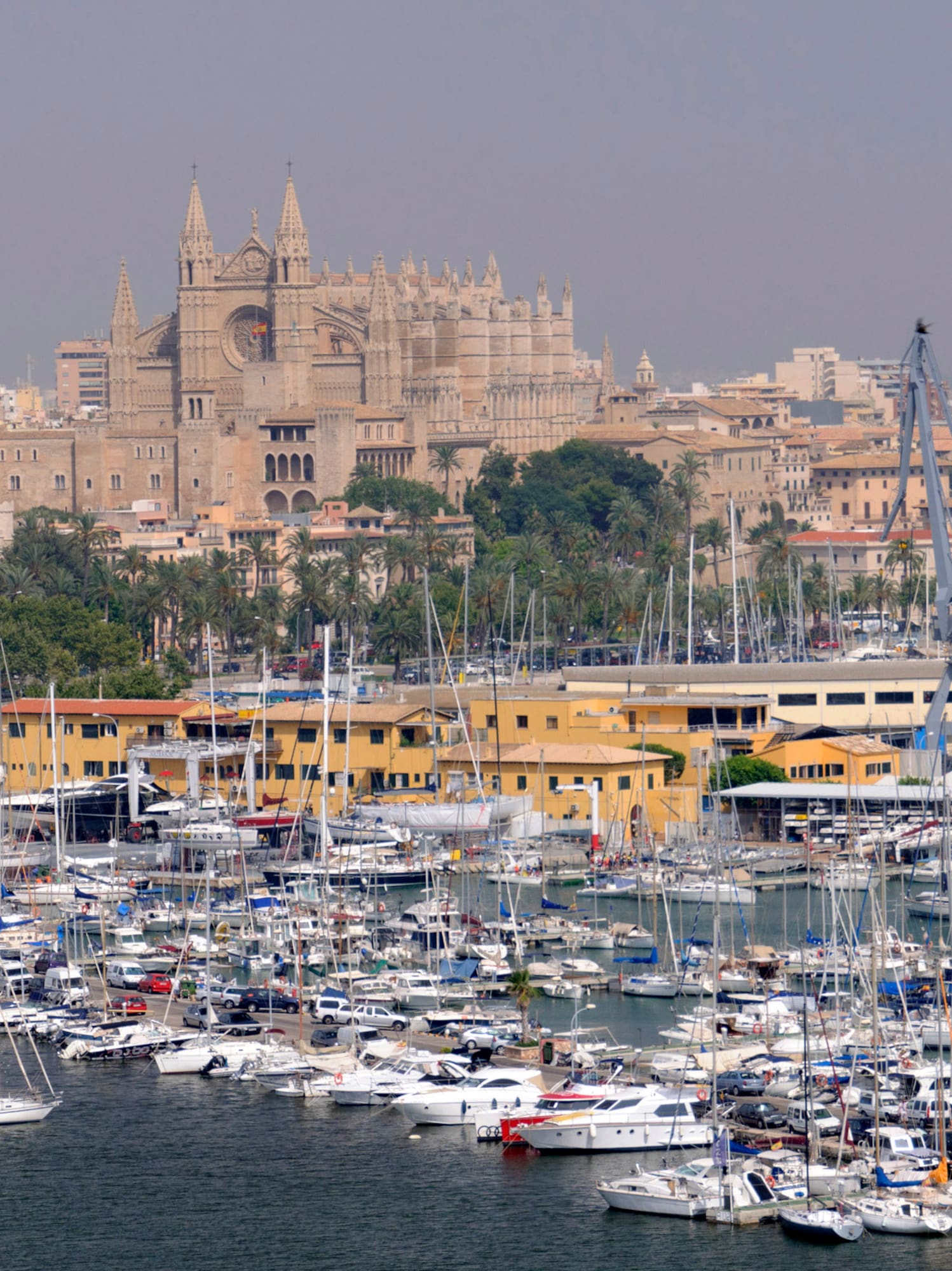 a large group of boats in a harbor