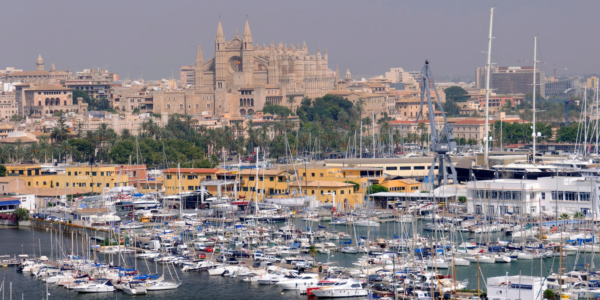 a large group of boats in a harbor