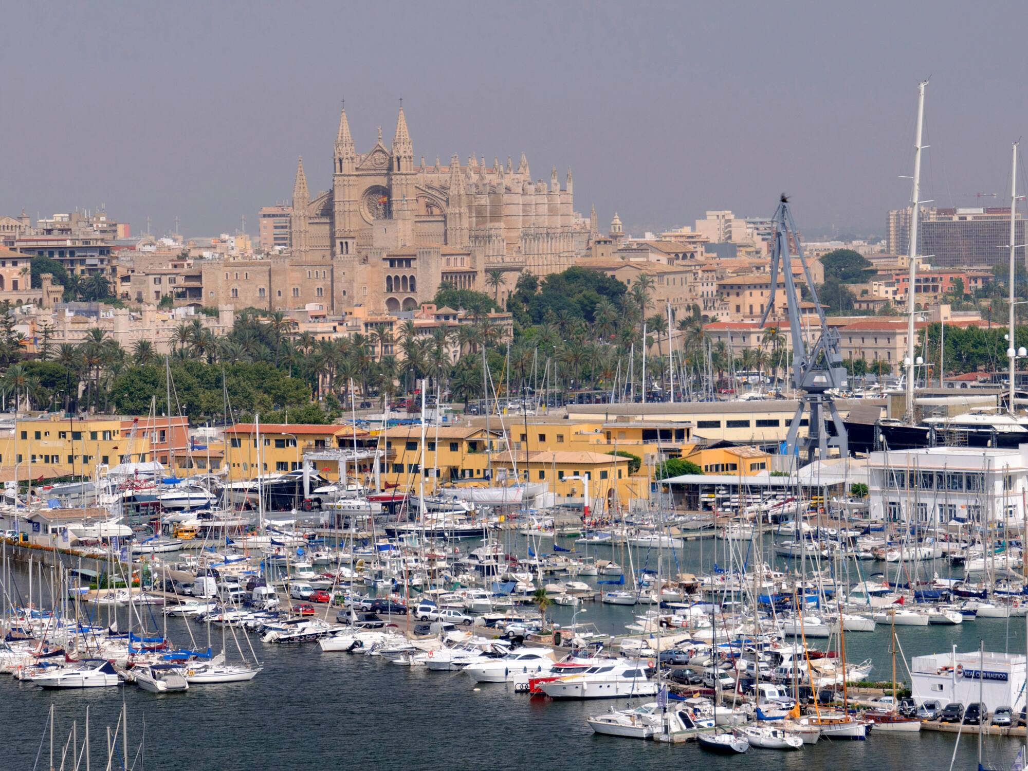 a large group of boats in a harbor