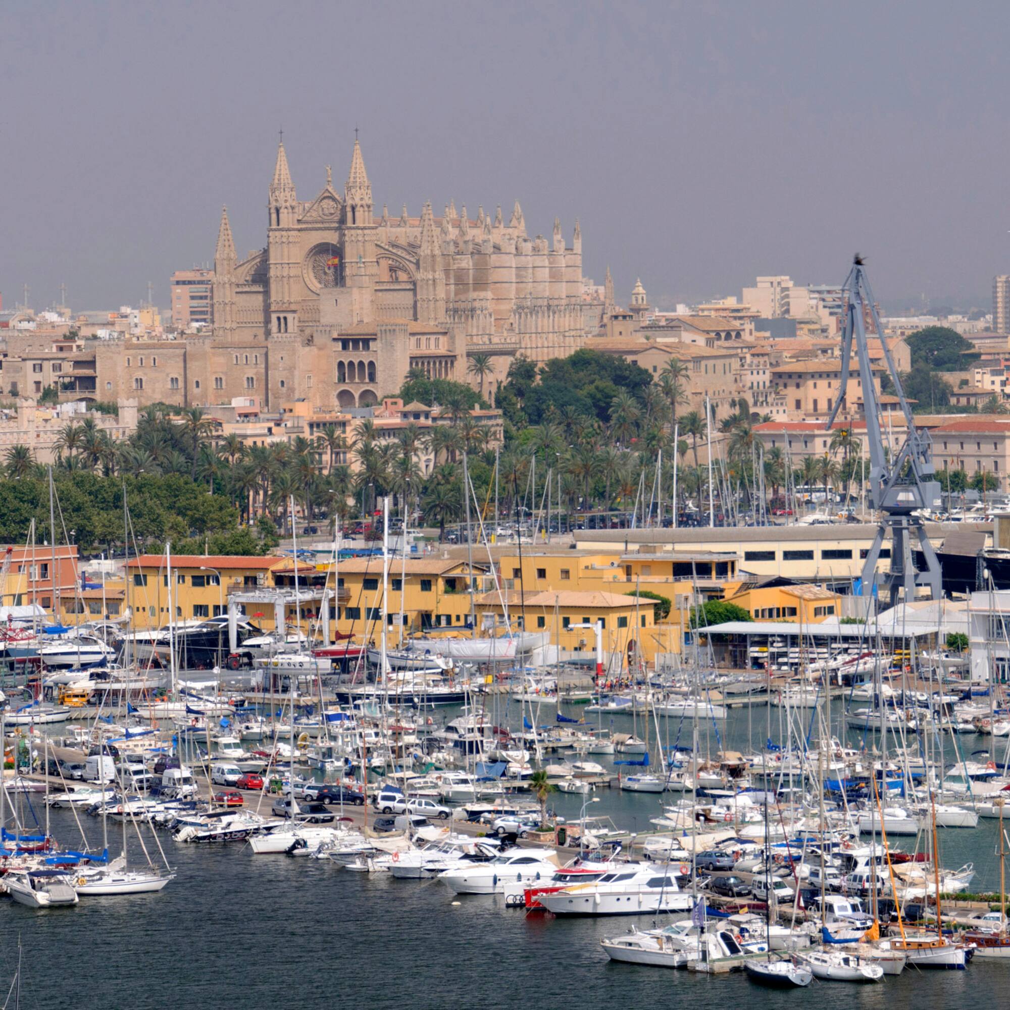 a large group of boats in a harbor