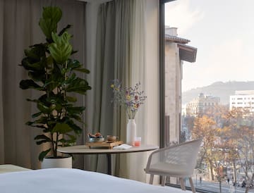 a room with a table and chair and a plant