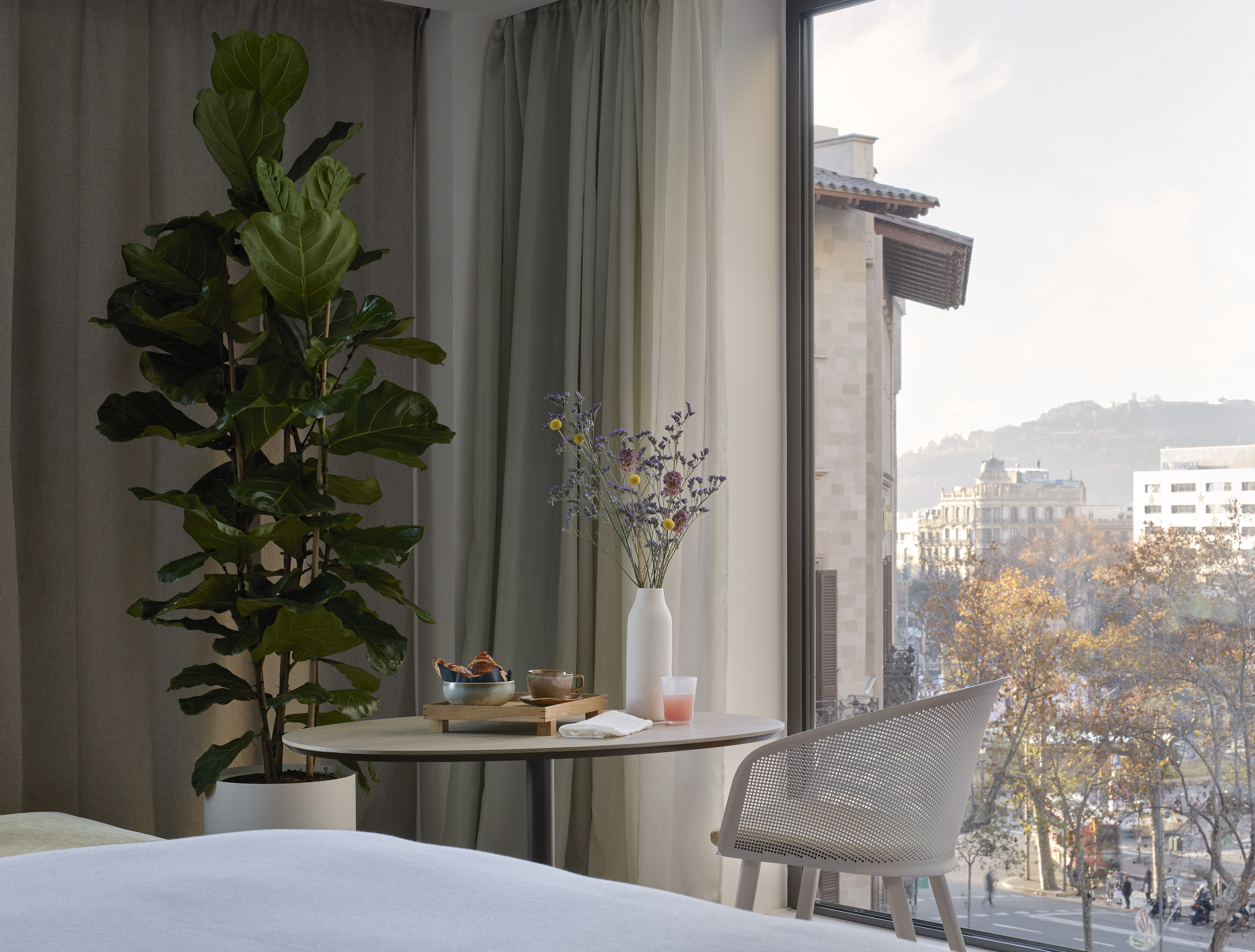 Hotel room with breakfast by window, large plant, and urban city view.
