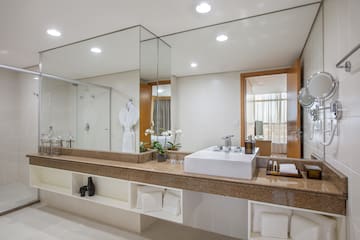 a bathroom with a large mirror and a sink
