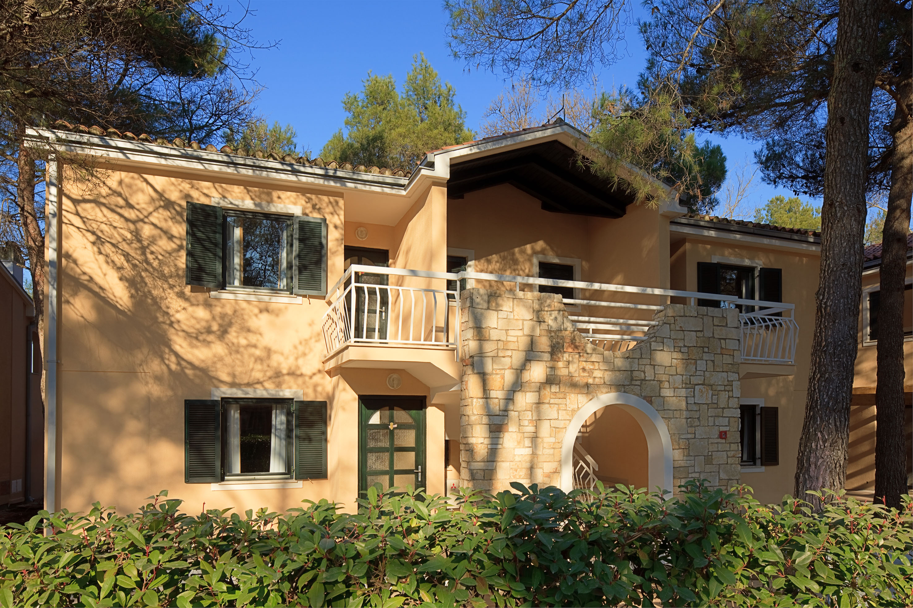 a house with trees in the background