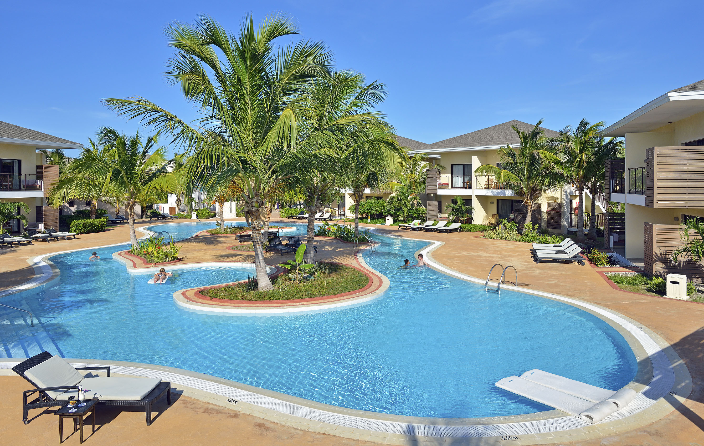 a pool with palm trees and people in it