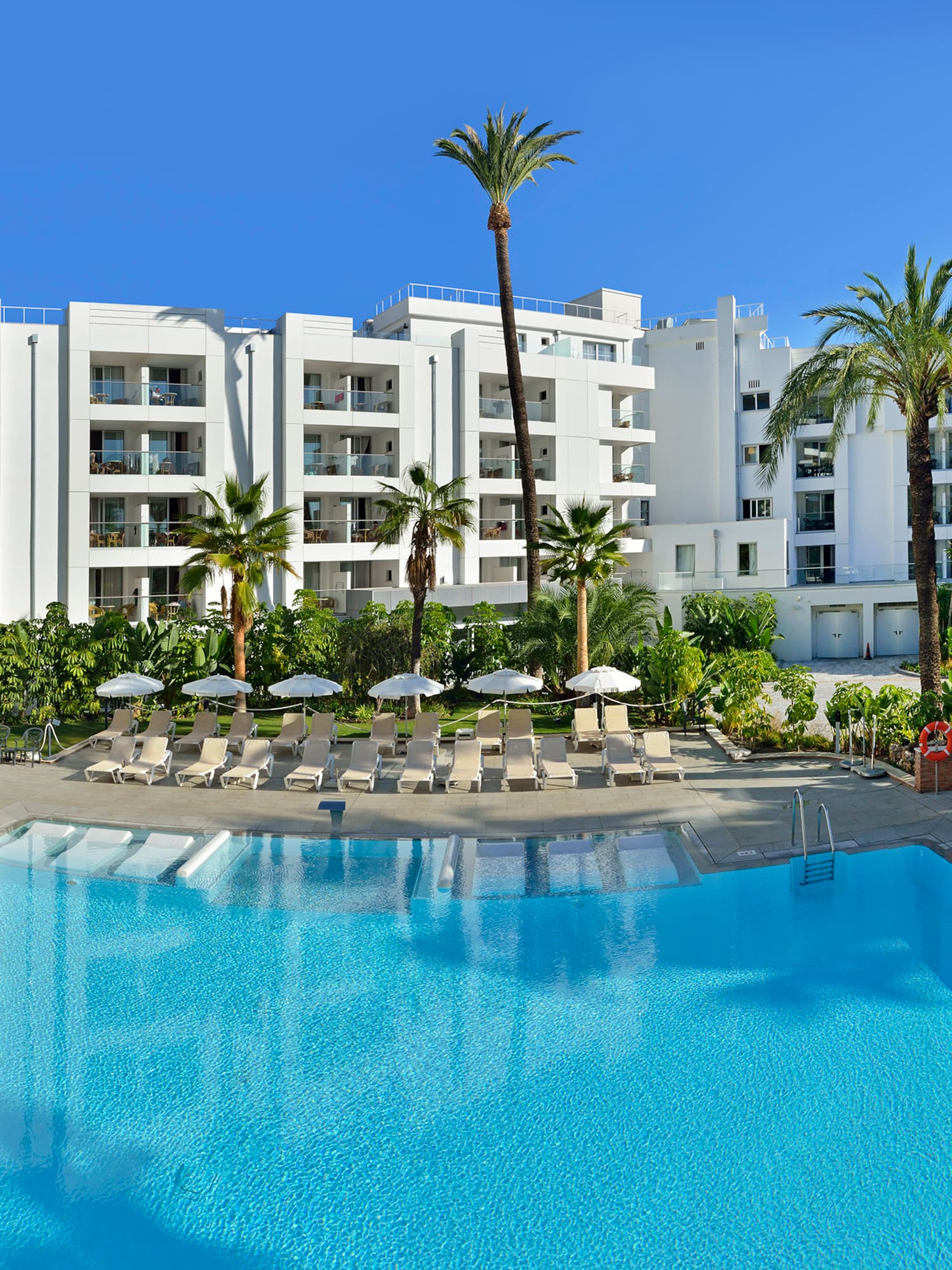 a swimming pool with palm trees and a building