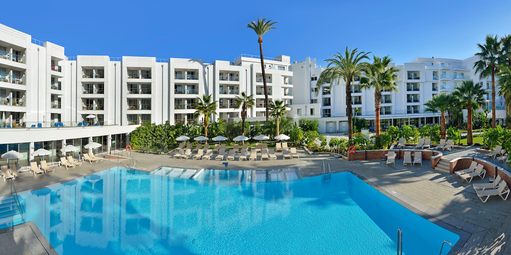 a swimming pool with palm trees and a building