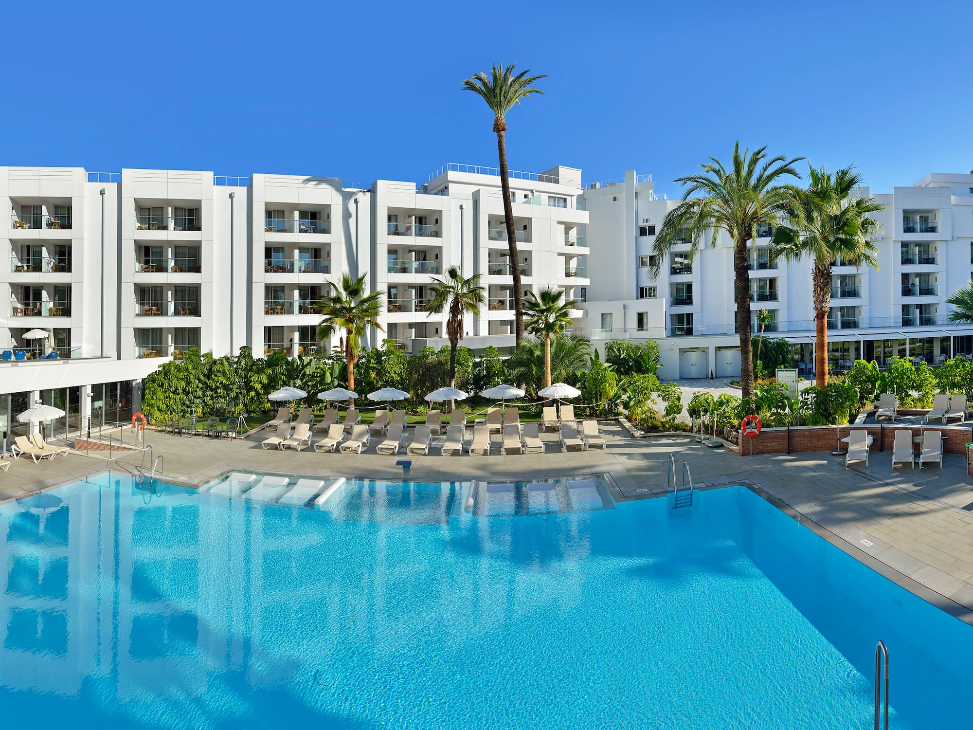 a swimming pool with palm trees and a building