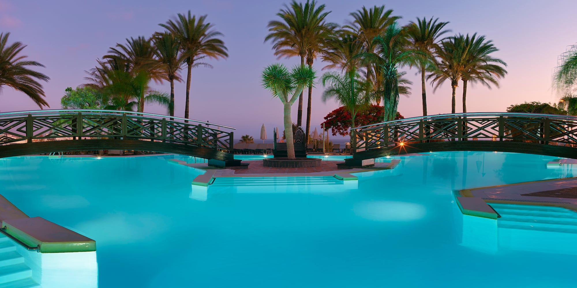 a pool with palm trees and a bridge