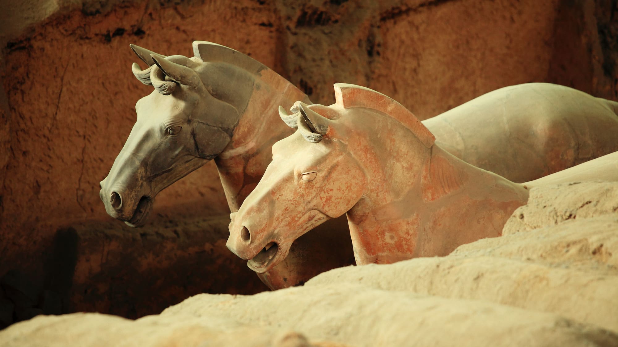 a group of horses statues