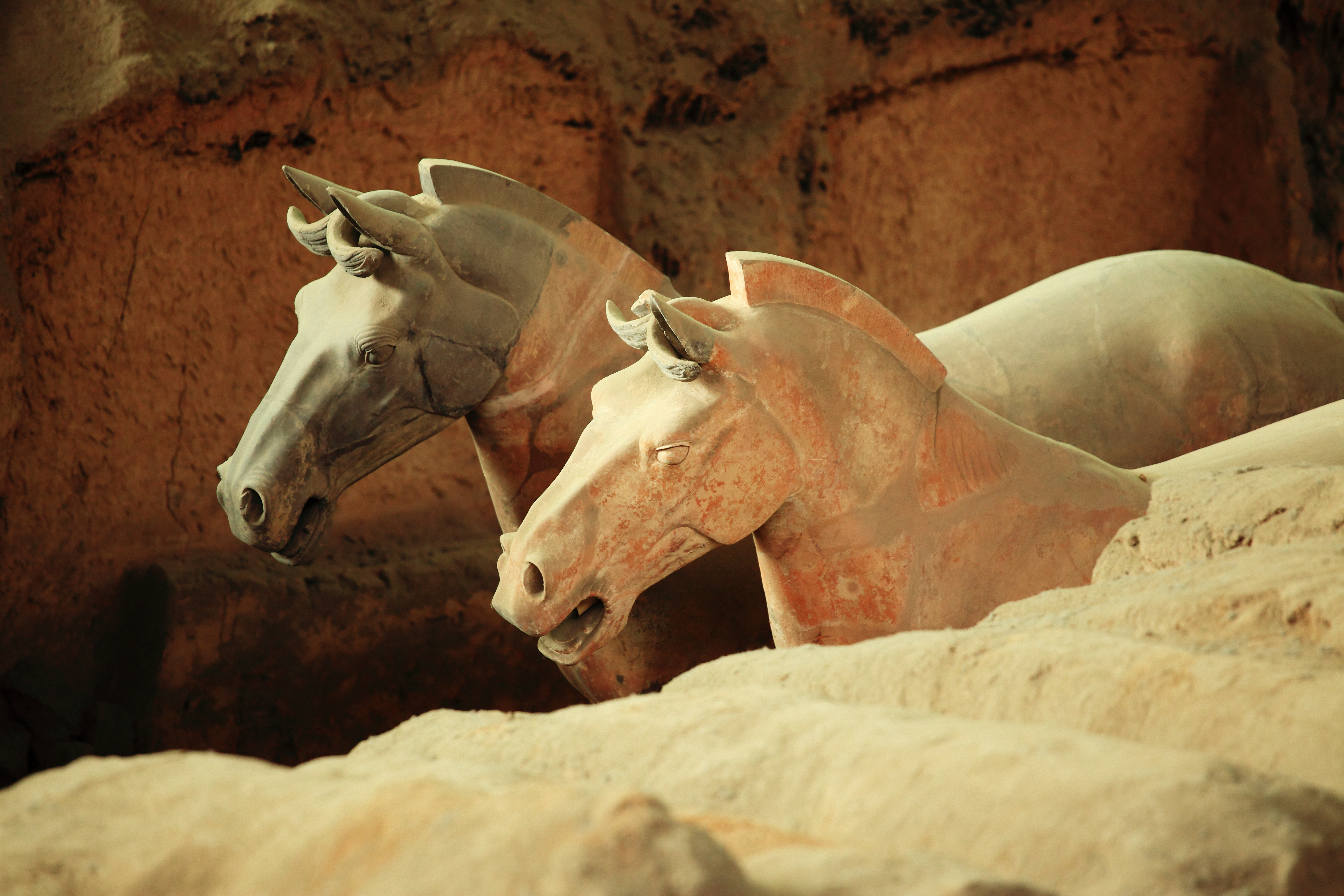 a group of horses statues