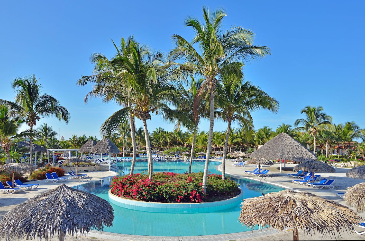 a pool with palm trees and flowers