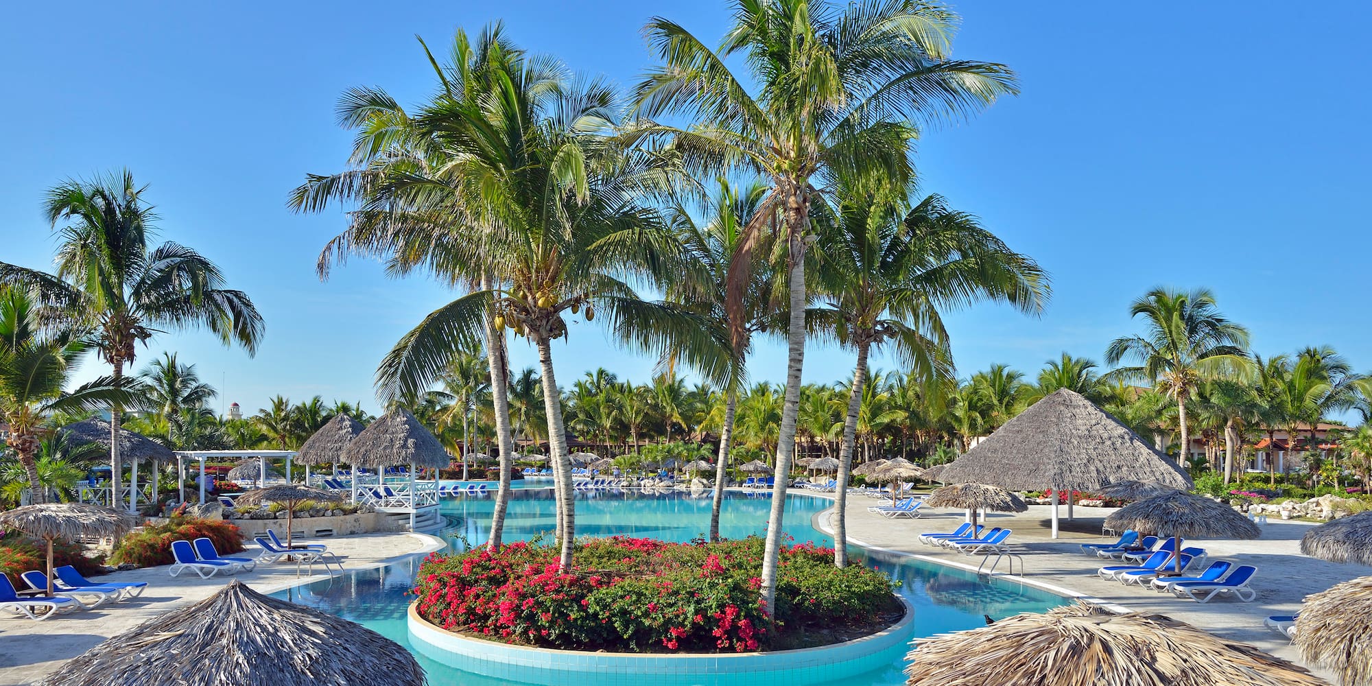 a pool with palm trees and flowers