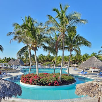 a pool with palm trees and flowers