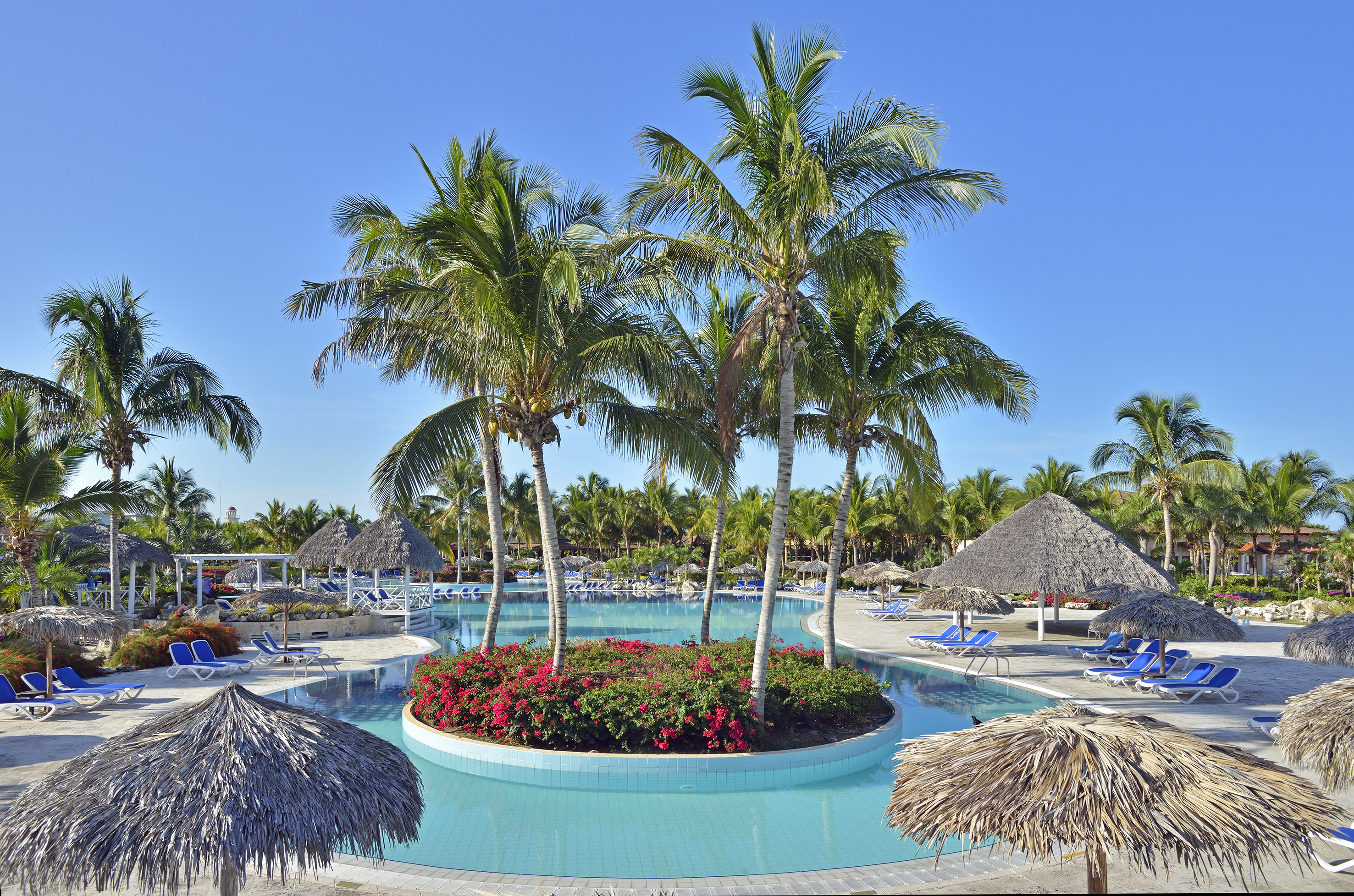 a pool with palm trees and flowers
