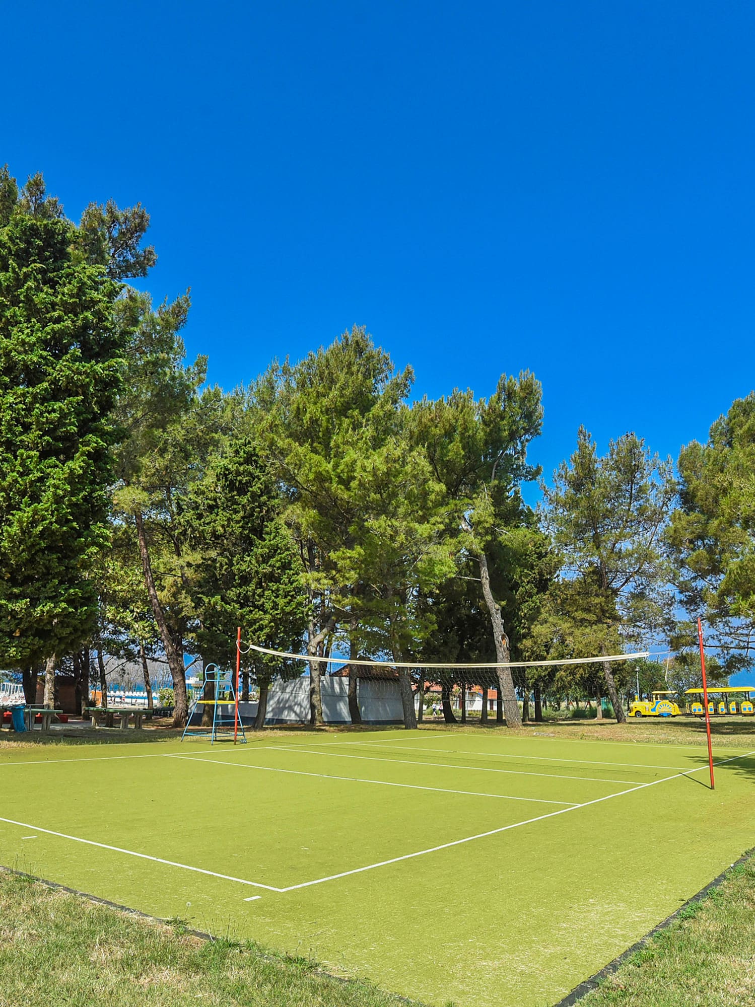 a volleyball net on a green grass field