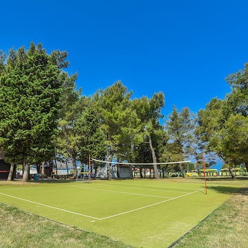 a volleyball net on a green grass field