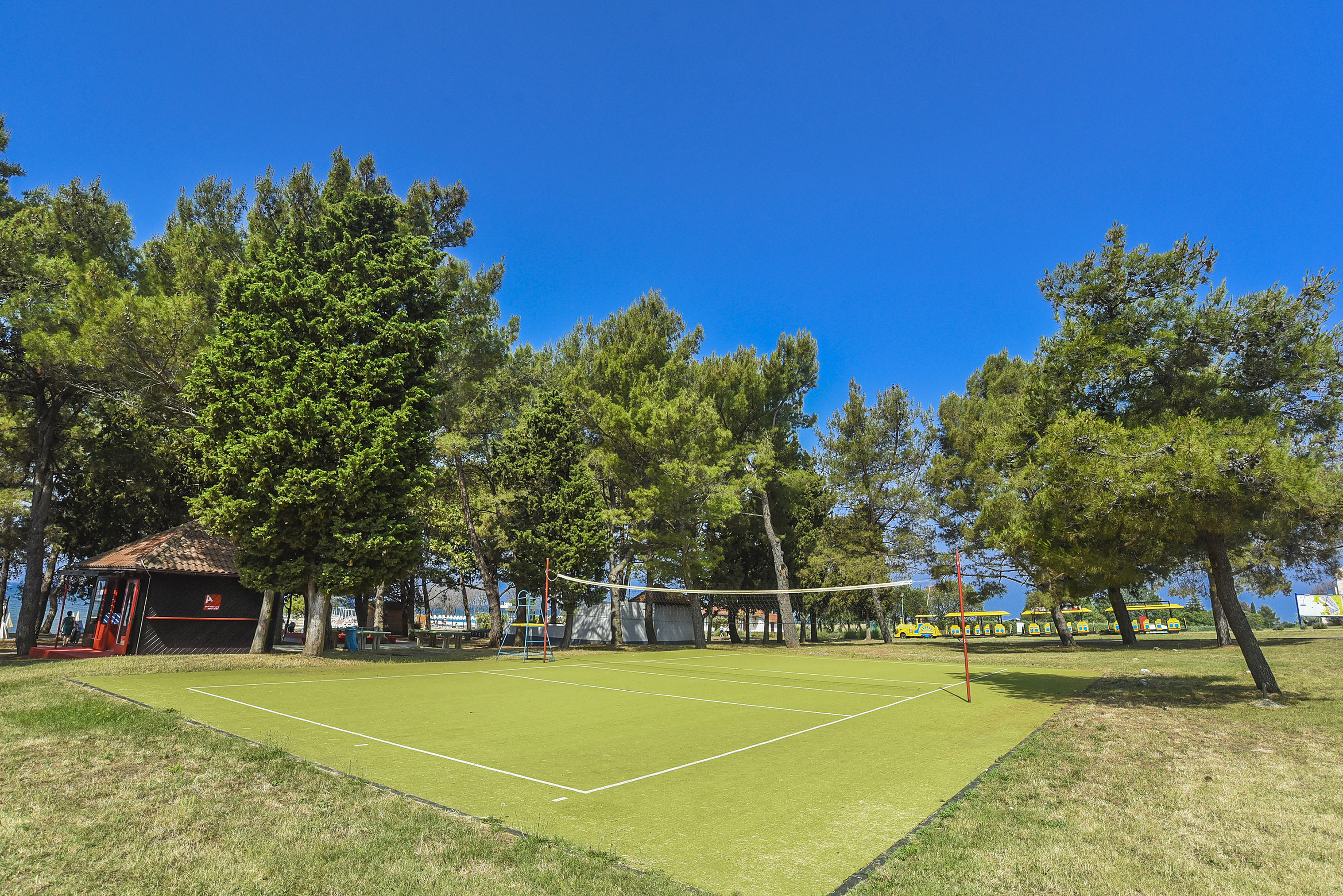 a volleyball net on a green grass field