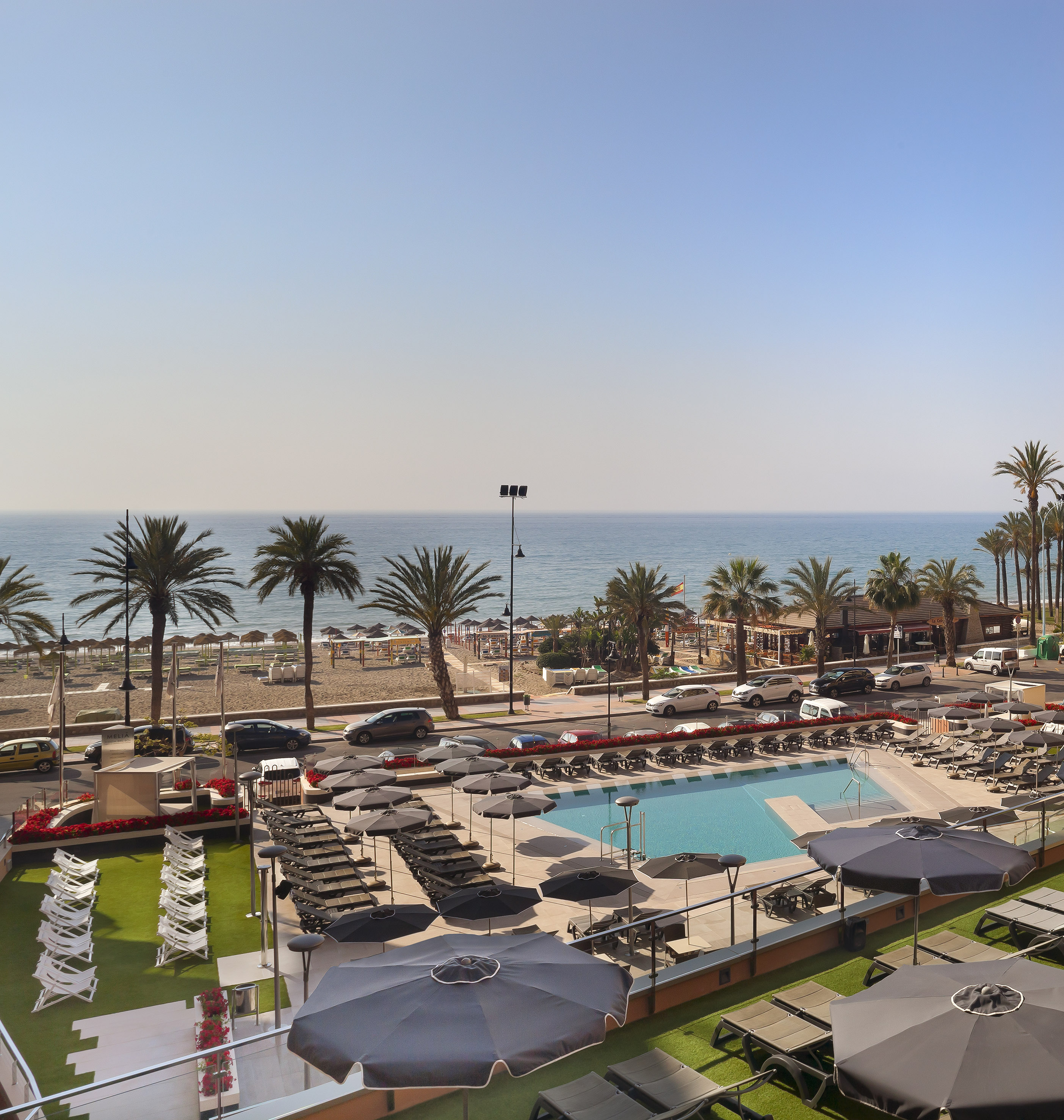 Coastal hotel pool overlooking a sunny beach, ocean, and palm trees.
