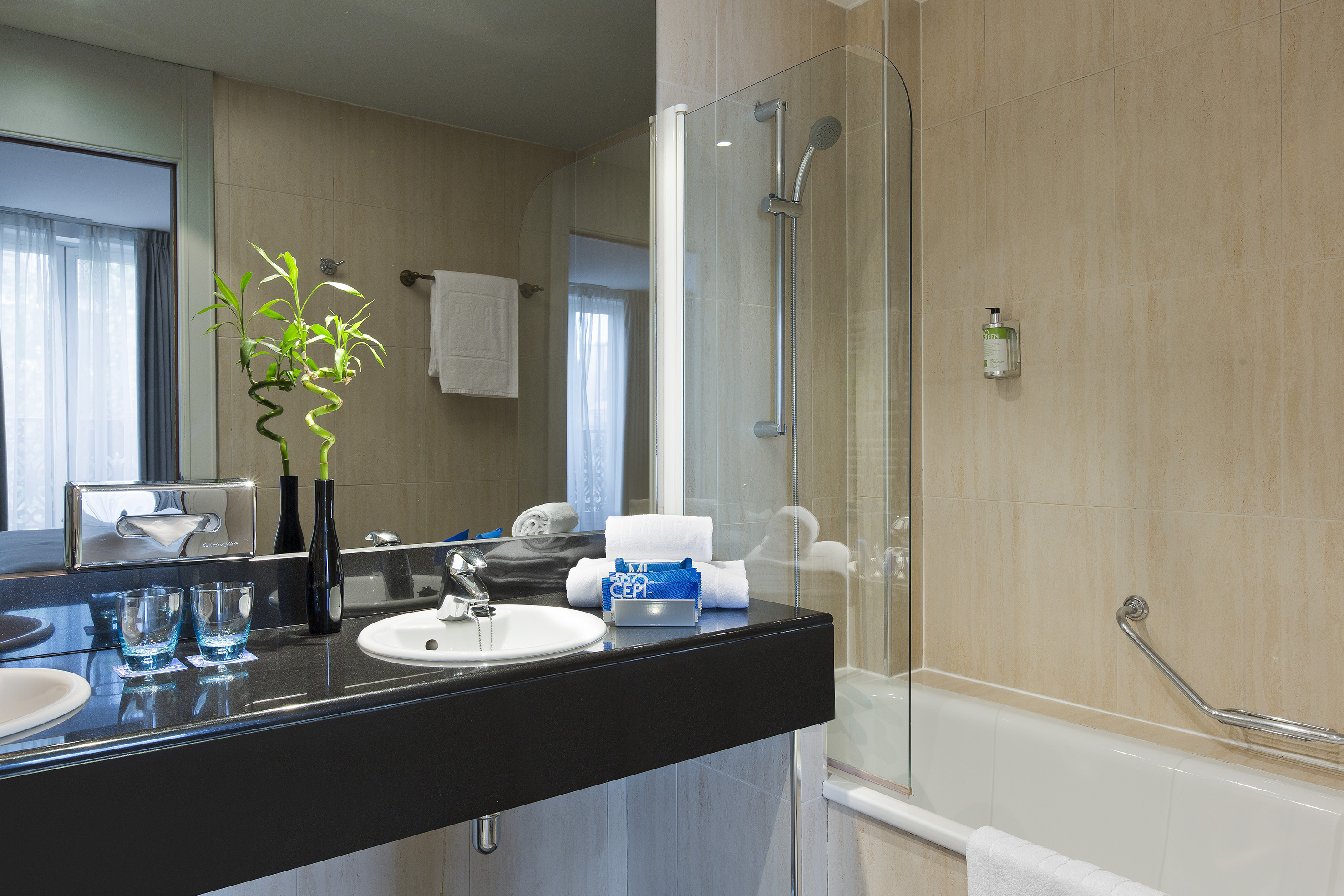 Modern hotel bathroom with black vanity, white sink, shower/tub, and bamboo plant.