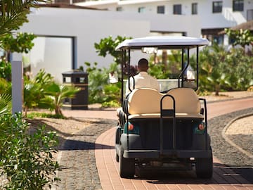 a man driving a golf cart
