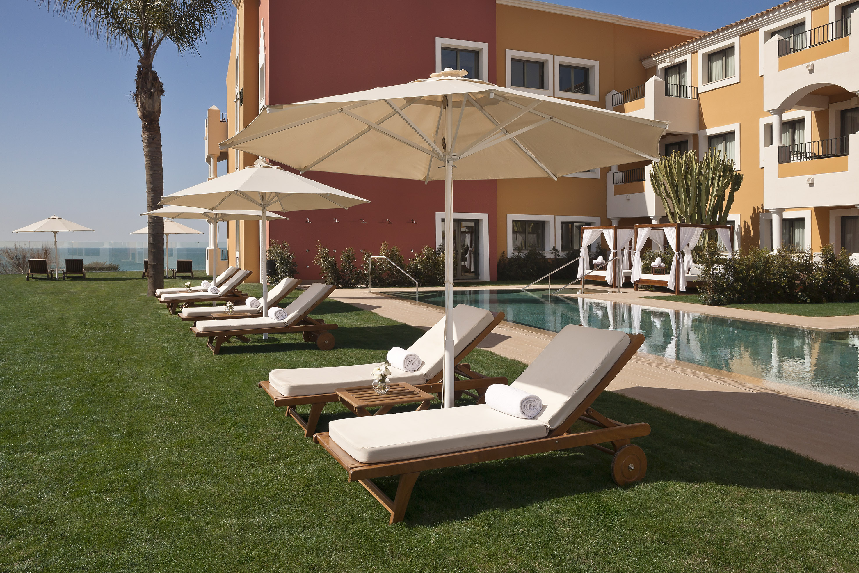 Resort pool with sun loungers, umbrellas, palm tree, and ocean view.