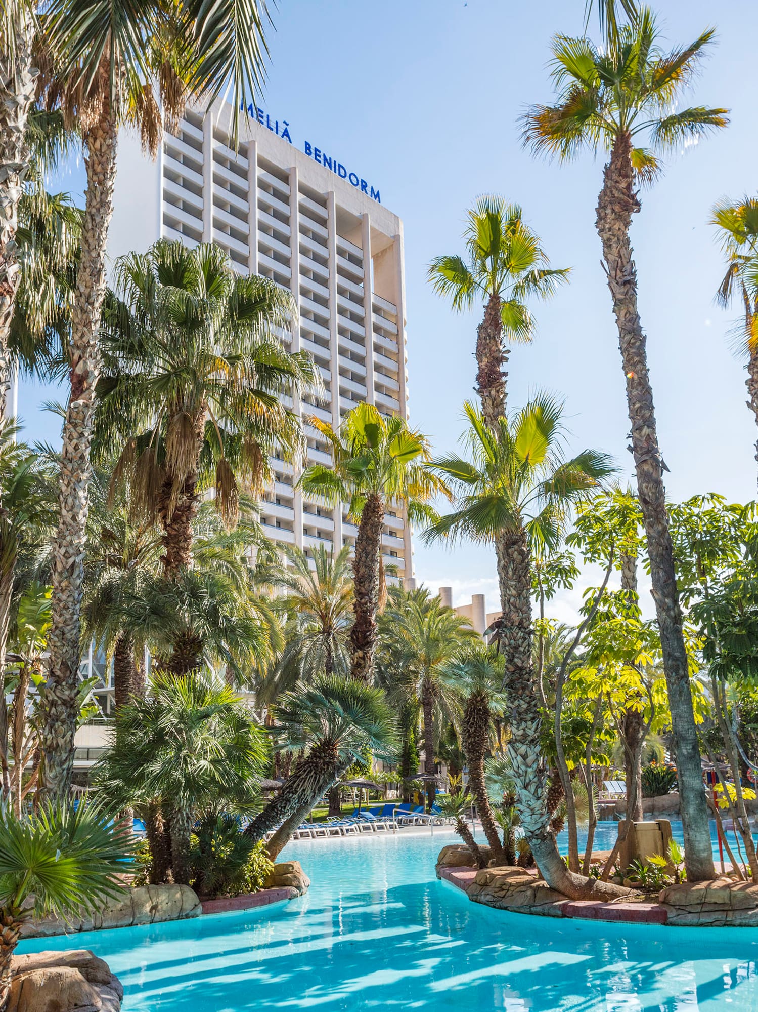 a pool with palm trees and a building in the background