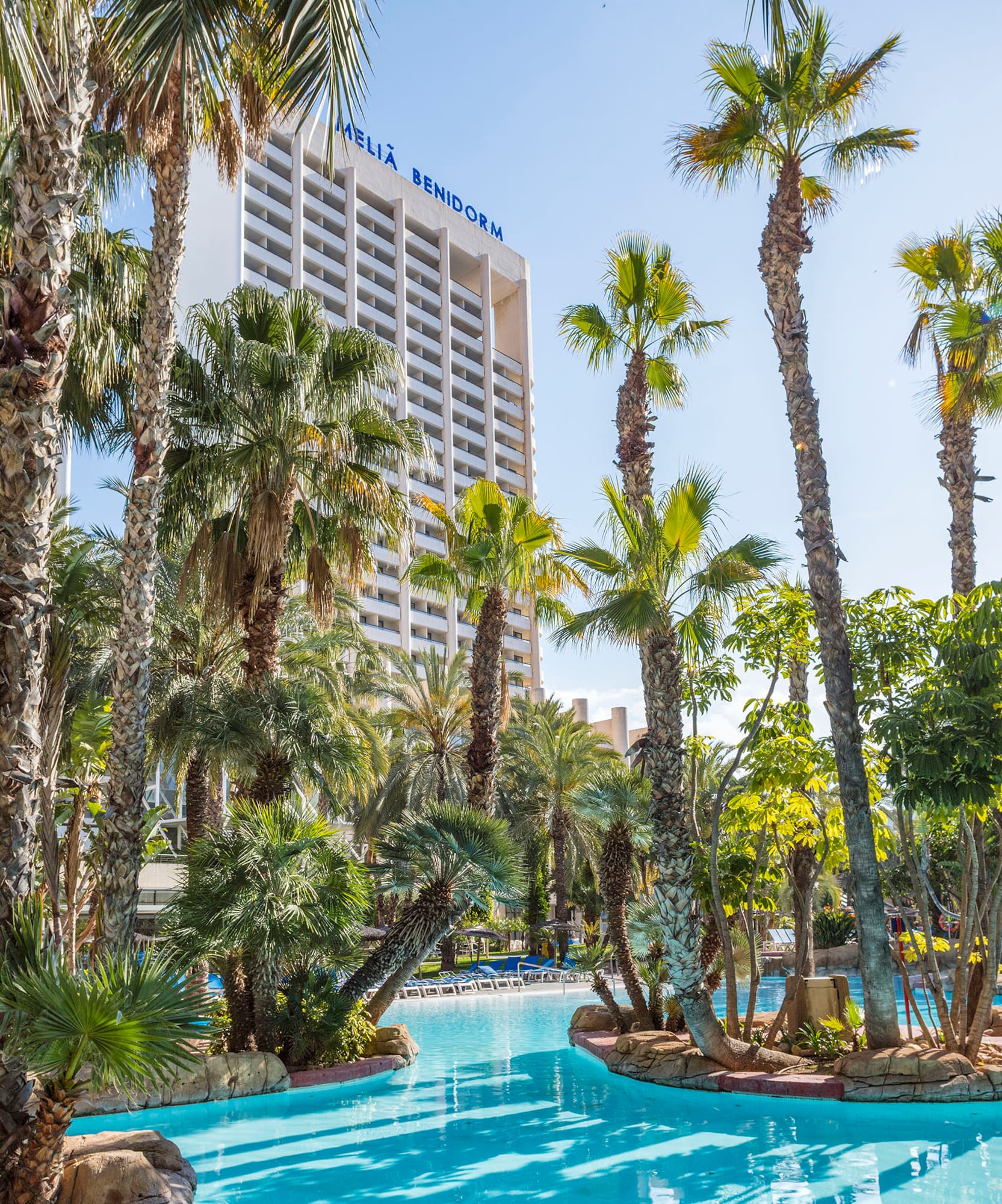 a pool with palm trees and a building in the background