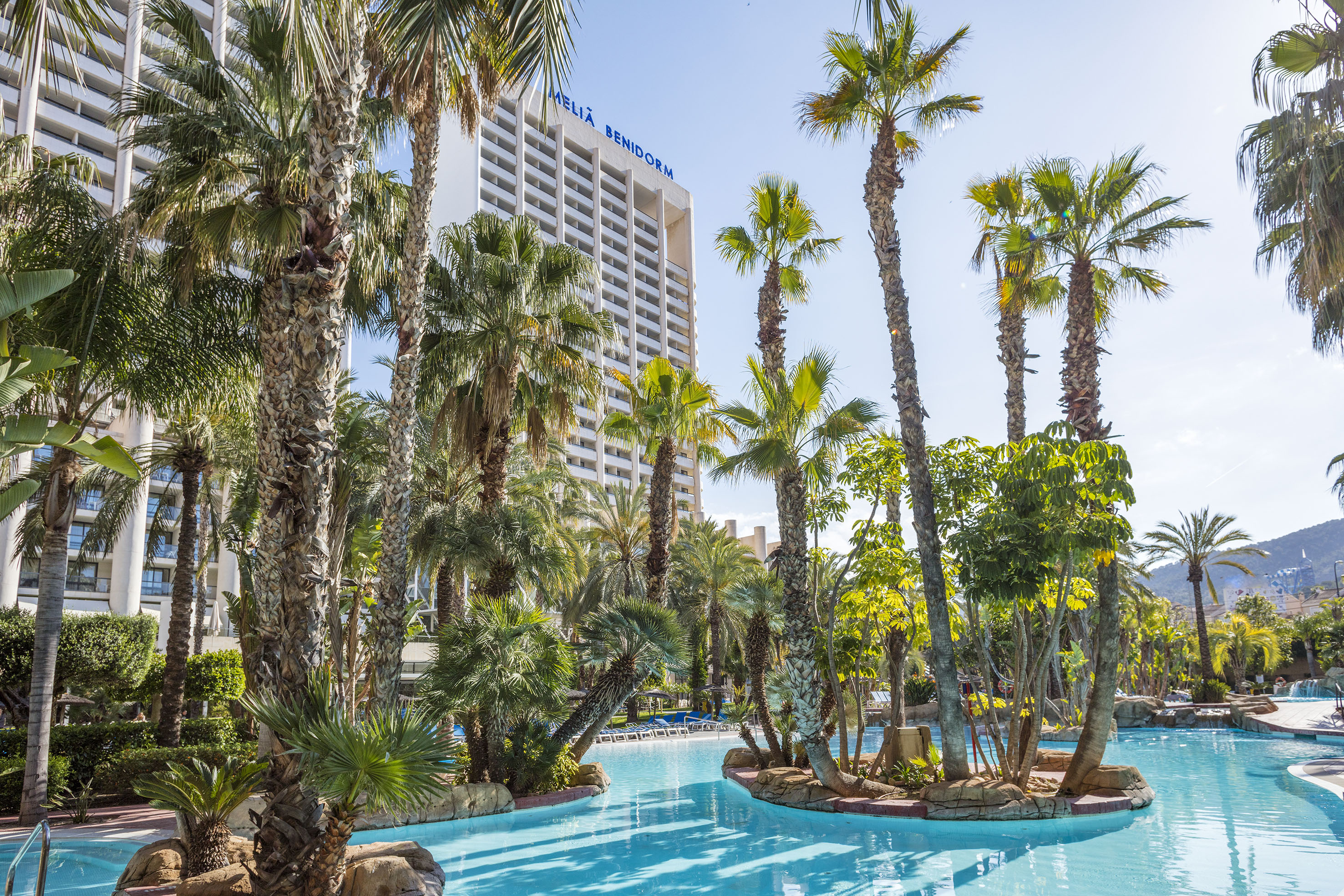 a pool with palm trees and a building in the background