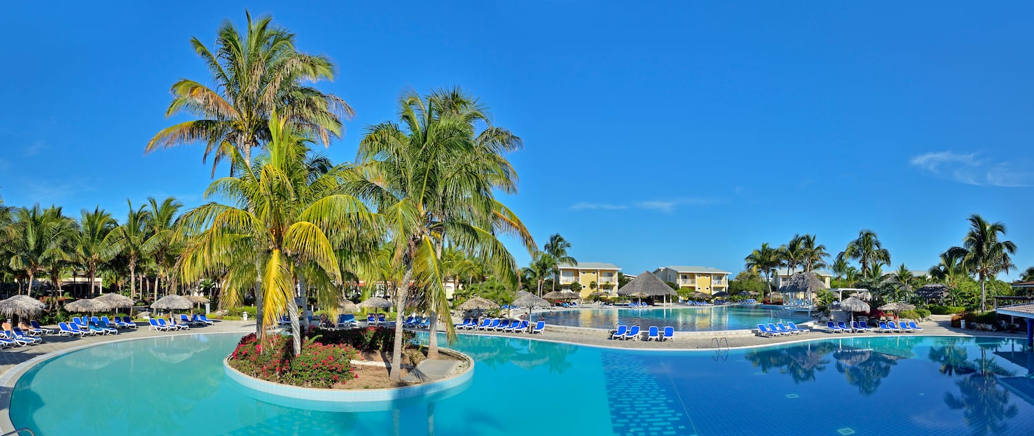 a pool with palm trees and a beach