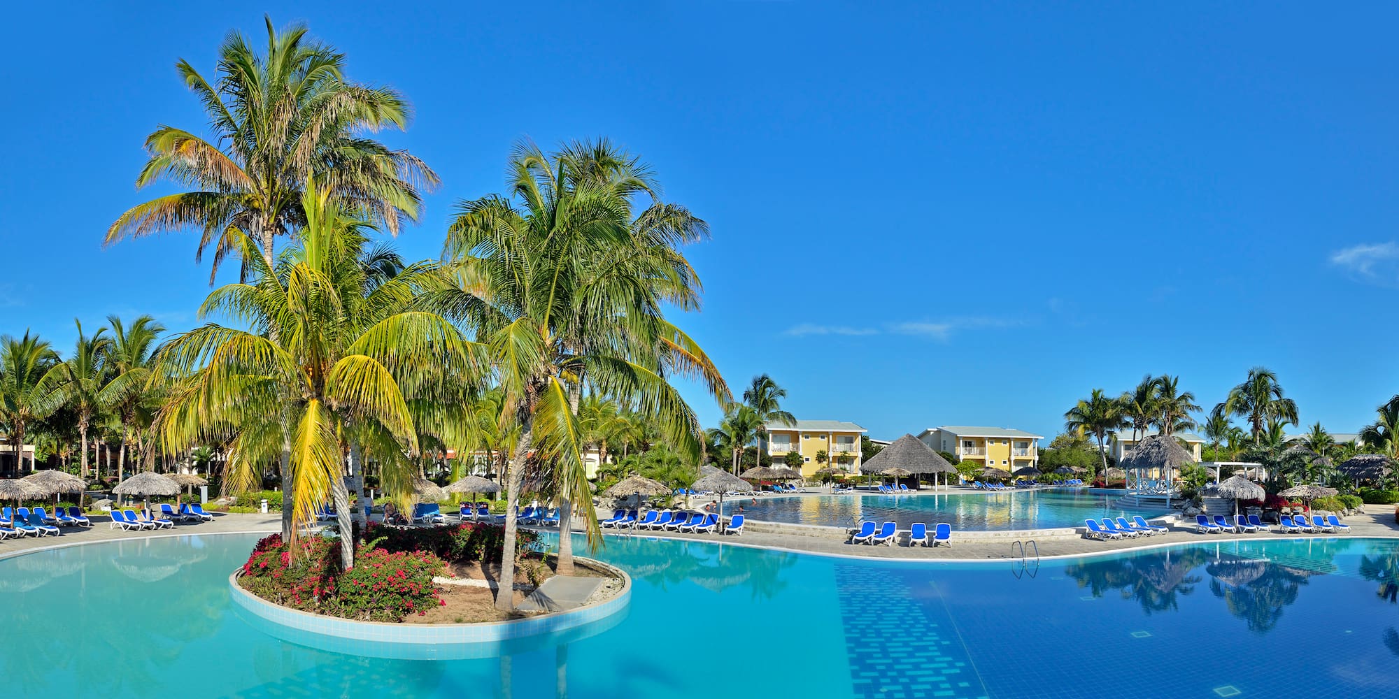 a pool with palm trees and a beach