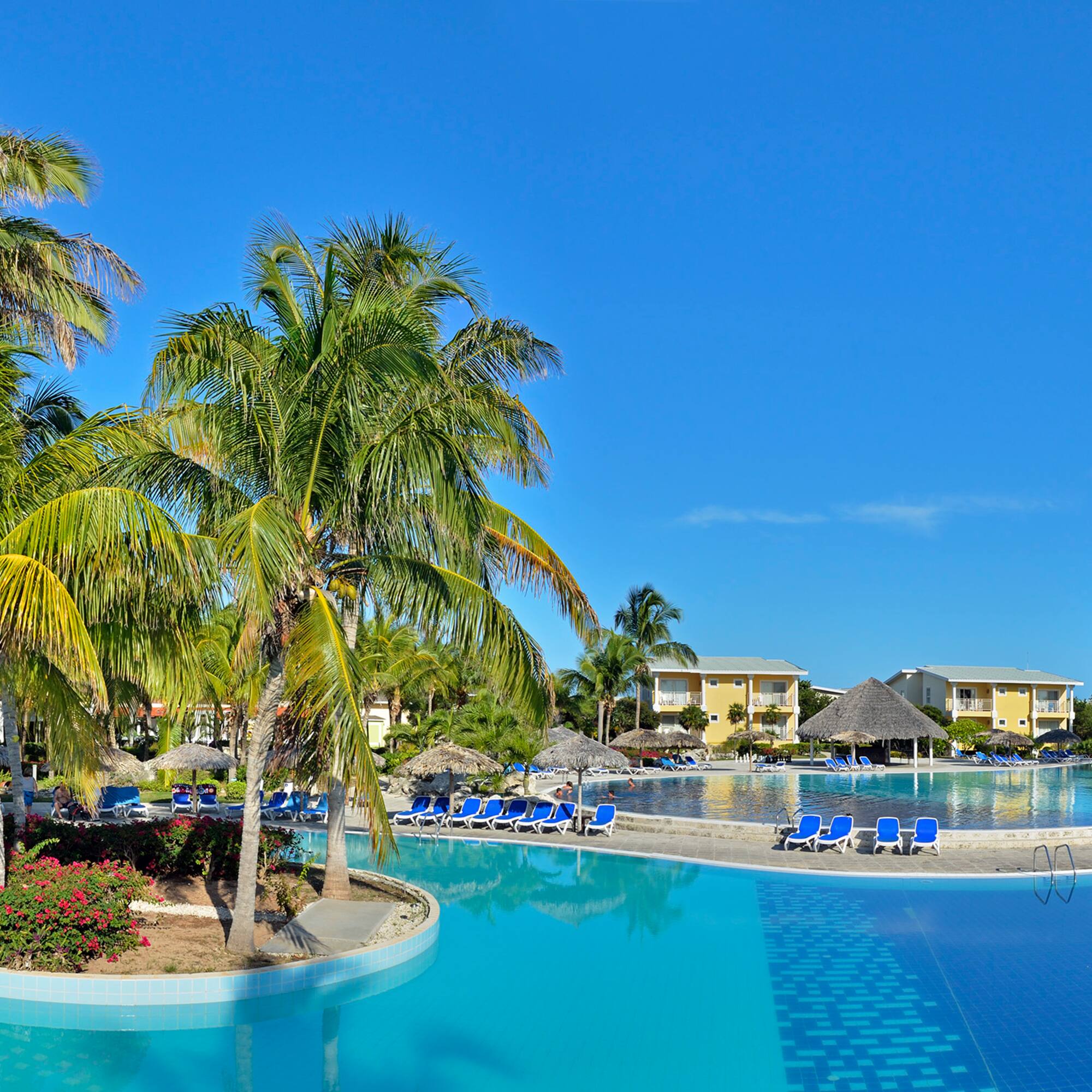 a pool with palm trees and a beach