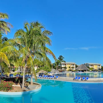 a pool with palm trees and a beach