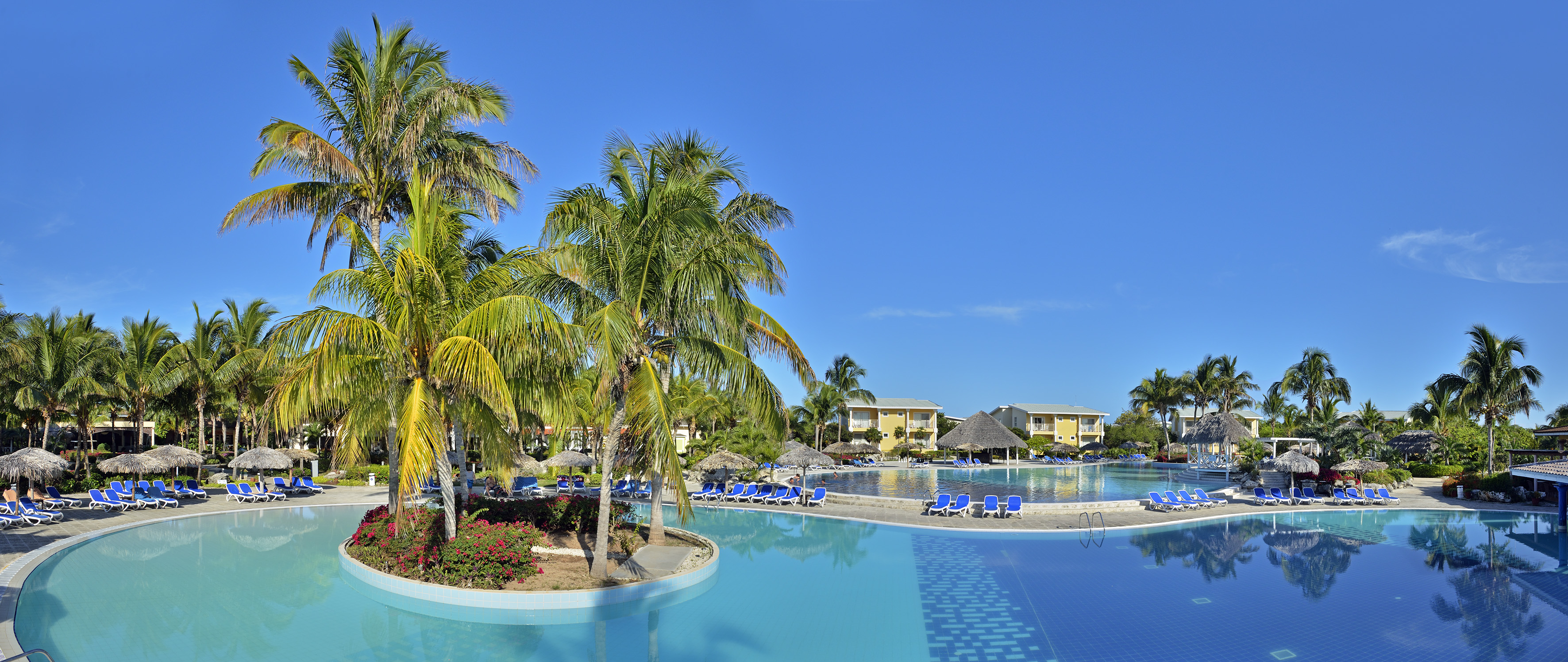 a pool with palm trees and a beach